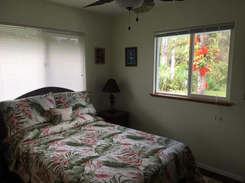 芒廷维尤Aloha Big Island Paradise的一间卧室设有一张床和一个窗口