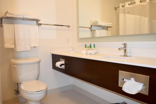Calexico卡莱克西科智选假日酒店的一间带卫生间、水槽和镜子的浴室