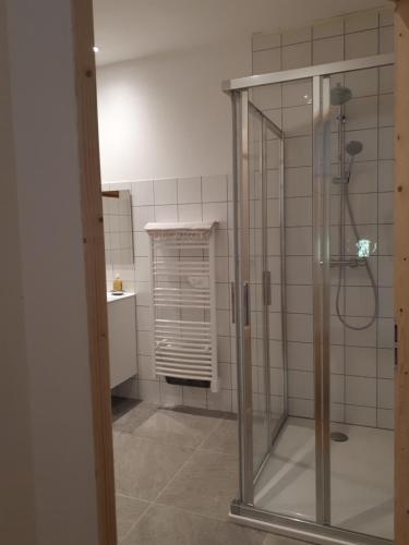 Saint-LégerDomaine de la Safranière - Holiday Home的浴室里设有玻璃门淋浴