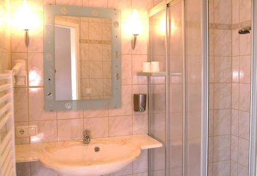 RinchnachRinchnacher Hof的浴室配有盥洗盆和带镜子的淋浴