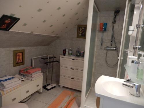 Cercy-la-Tour切兹玛丽酒店的带淋浴和盥洗盆的浴室