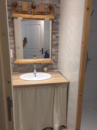 圣皮埃尔德日瓦莱斯希麦斯公寓的一间带水槽和镜子的浴室