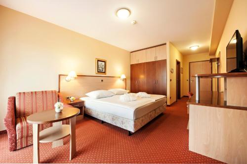 维尔兹Terme Banovci - Hotel Zeleni Gaj的酒店客房配有一张床铺和一张桌子。