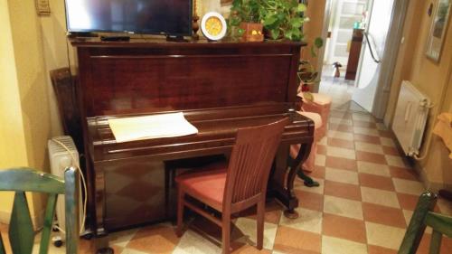 Brod na KupiHotel Mance的钢琴,椅子和电视