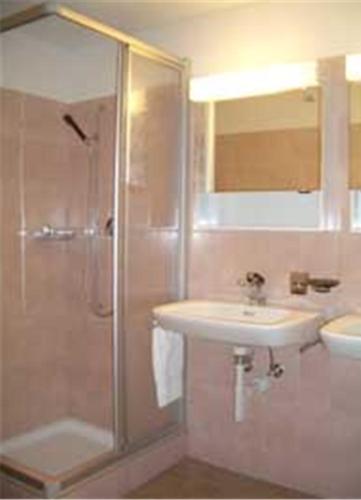 迈恩费尔德兰德加斯托圣卢奇斯哥宾馆的带淋浴和盥洗盆的浴室
