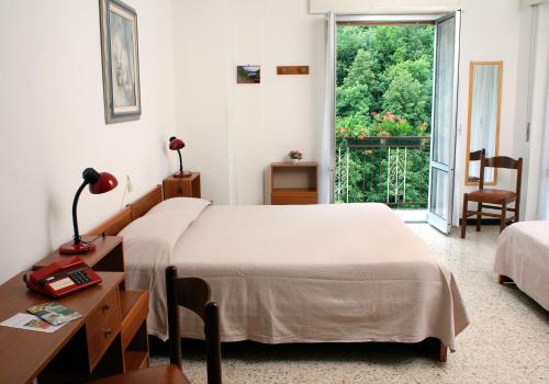 BognancoAlbergo Ristorante Regina的一间卧室配有一张床、一张书桌和一个窗户。