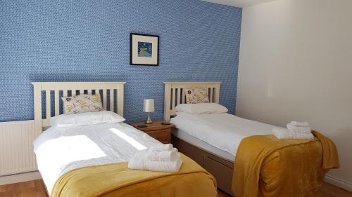 FlashaderCottages Lyndale Farm的蓝色墙壁客房的两张床