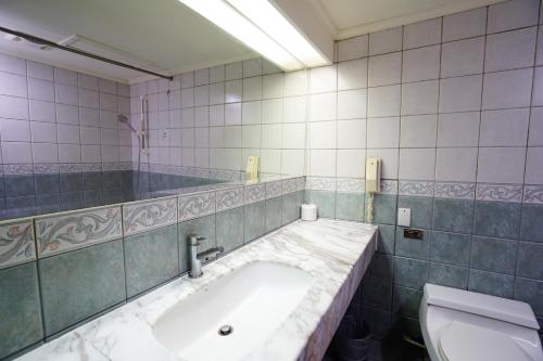 台南台南剑桥大饭店的一间带水槽和卫生间的浴室