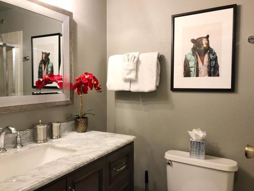 布雷肯里奇Breck Creekside at Wildwood Suites的一间带水槽、卫生间和镜子的浴室