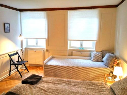 哥本哈根Central Danish apartment的一间卧室设有两张床和两个窗户。