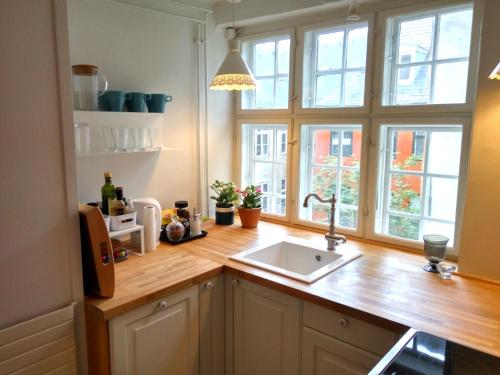 哥本哈根Central Danish apartment的带水槽的厨房和2扇窗户
