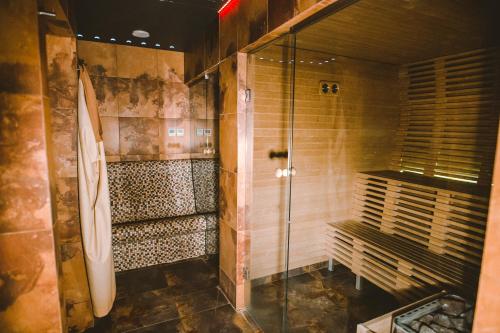 里加Hanza Hotel的带淋浴的浴室和玻璃门