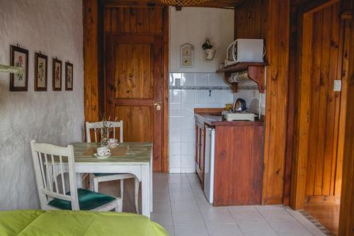 圣卡洛斯-德巴里洛切Hosteria Las Cartas的一间带桌子的厨房和一间带炉灶的小厨房