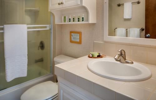 哈纳莱伊Hanalei Colony Resort的一间带水槽、淋浴和卫生间的浴室