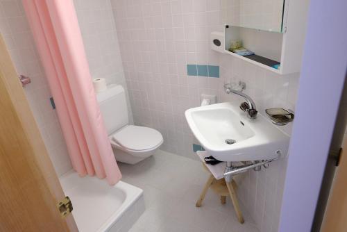 Soazza索阿扎酒店的浴室配有白色卫生间和盥洗盆。