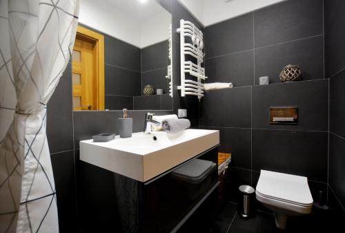 尤斯托尼莫斯基Apartament 27 Dwie Sosny的一间带水槽和卫生间的浴室