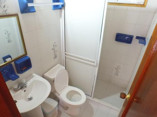 圣安德烈斯Cabañas 7 Colores的浴室配有卫生间、淋浴和盥洗盆。