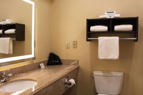 休斯顿北休斯顿贝斯特韦斯特普拉斯酒店及套房的一间带水槽、卫生间和镜子的浴室