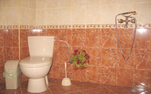 大特尔诺沃Guest Rooms Bela Neda的一间带卫生间和淋浴的浴室