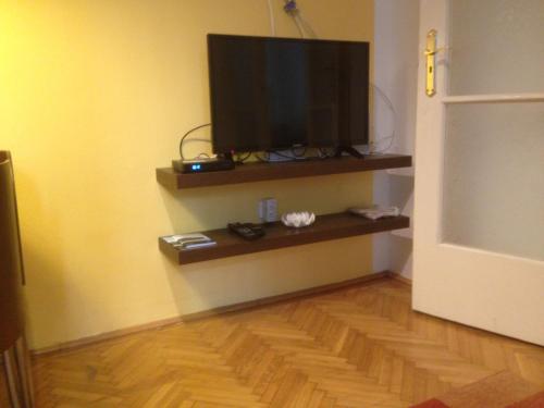 布达佩斯堡勒19号公寓的墙上的平面电视