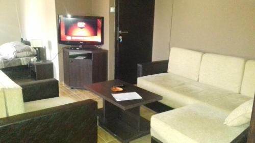 莱斯科瓦茨Asterix Rooms的带沙发和电视的客厅