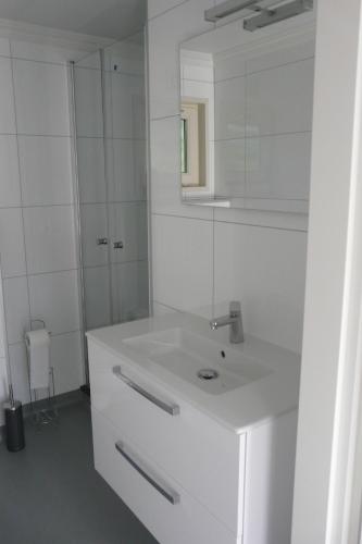 埃尔默洛Dolfijn的白色的浴室设有水槽和镜子