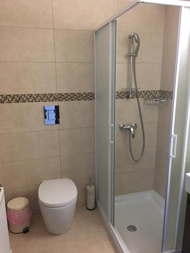 基佩朗达Kyperounta Apartment的带淋浴、卫生间和淋浴的浴室
