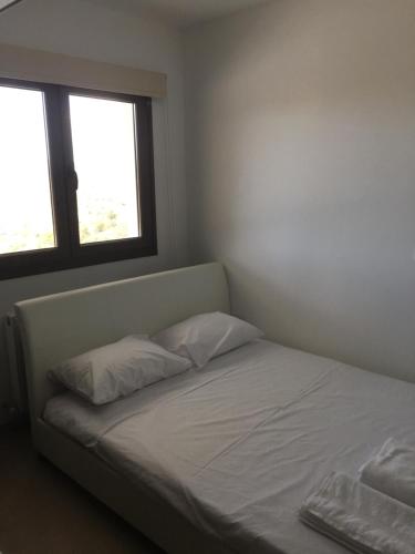 基佩朗达Kyperounta Apartment的带2扇窗户的客房内的一张带2个枕头的床