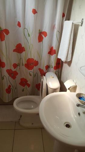 布拉柴维尔布拉柴维尔圣雅克酒店的一间带卫生间和水槽的浴室