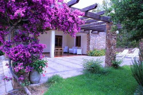 特乌拉达House Suestellas的一个带紫色花的凉棚的花园
