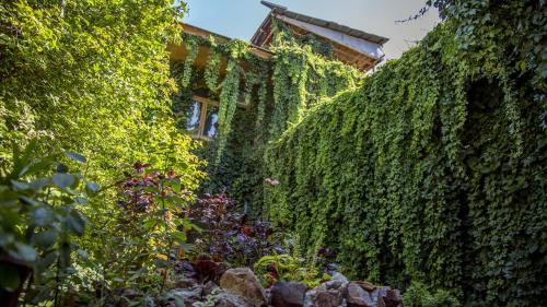 撒马尔罕卡文赛瑞酒店的一座常春藤覆盖的建筑,毗邻花园
