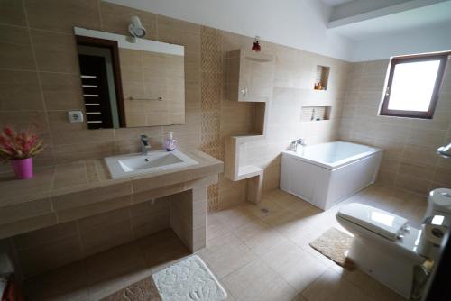 Casa Bunicii的一间浴室