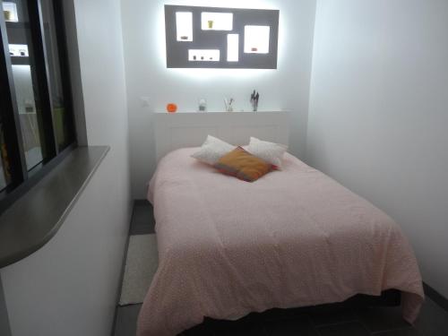 Saint-Aignan-Grand-LieuLe Studio的小卧室配有一张带粉色毯子的床
