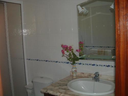 丰卡连特德拉帕尔马Casa Los Viñedos B的一间带水槽和花瓶的浴室