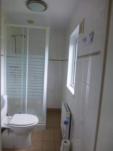 HezingenVakantieverblijf Springendalsebeek的白色的浴室设有卫生间和淋浴。