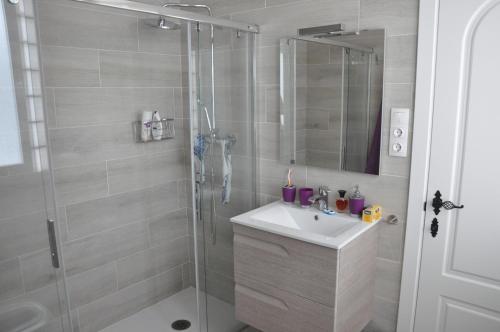 托雷德尔马尔Casa Tesoro的带淋浴、水槽和镜子的浴室
