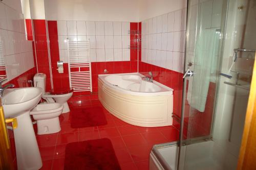 巴克乌Pensiunea Casa Benko的红色的浴室设有水槽和卫生间