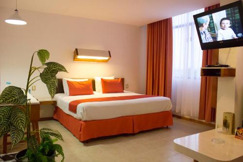 夸察夸尔科斯Hotel Enriquez的配有一张床和一台平面电视的酒店客房