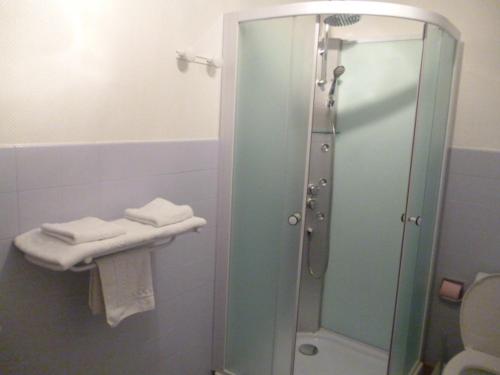 Monthureux-sur-Saône瑞雷沃斯格斯酒店的一间带玻璃淋浴和卫生间的浴室
