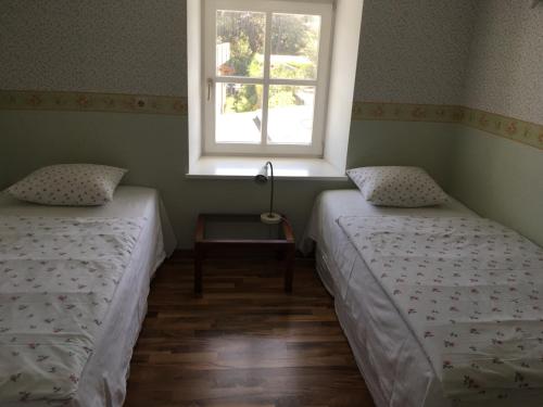 维也纳老多瑙河公寓的带窗户的客房内的两张床
