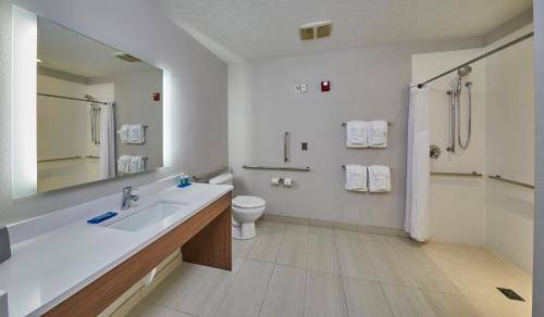 森特勒尔波因特梅德福中心点智选假日套房酒店的一间带水槽、卫生间和镜子的浴室