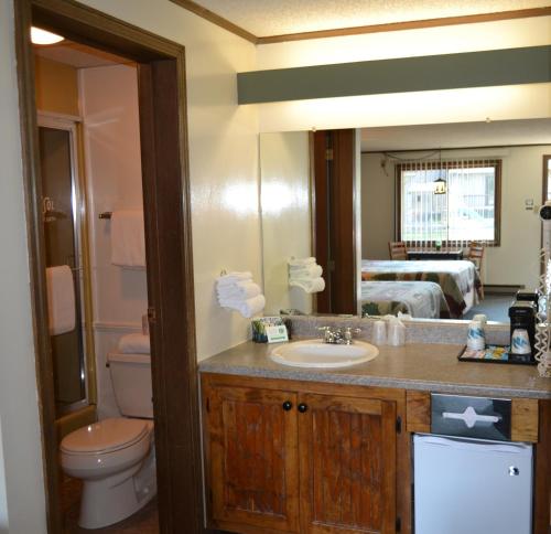 林肯坎克马格斯旅舍的一间带水槽、卫生间和镜子的浴室