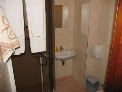 阿利图斯奥德酒店的一间带水槽和淋浴的小浴室