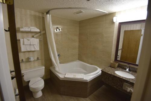 北贝特尔福德热带酒店 - 贝特尔福德北的带浴缸、卫生间和盥洗盆的浴室