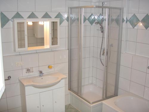 海因岑贝格索嫩特劳姆公寓的带淋浴和盥洗盆的浴室