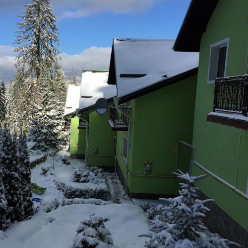 普雷代亚尔Vila Bogdana的绿色的建筑,地面上积雪