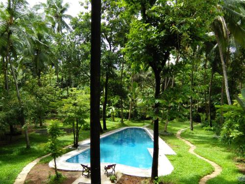 Botanique Goa内部或周边的泳池