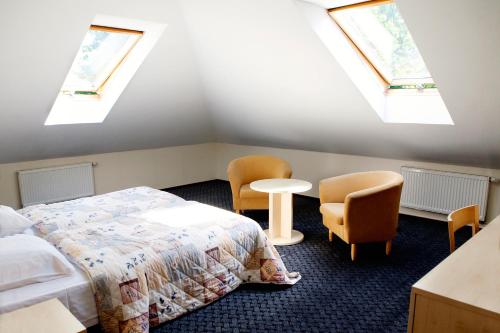 比尔什托纳斯Domus Hotel的一间卧室设有两张床、两把椅子和天窗。