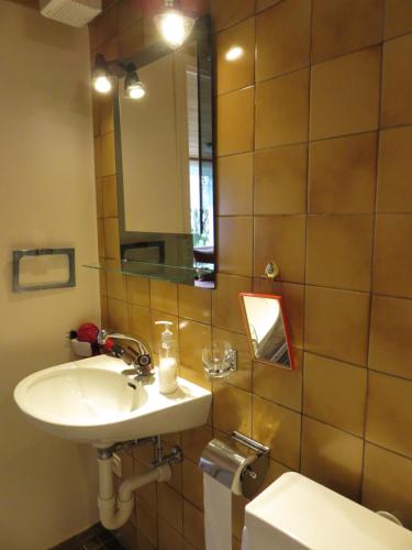 阿彭策尔费瑞恩沃农汉斯法斯拿勒寓的一间带水槽、镜子和卫生间的浴室