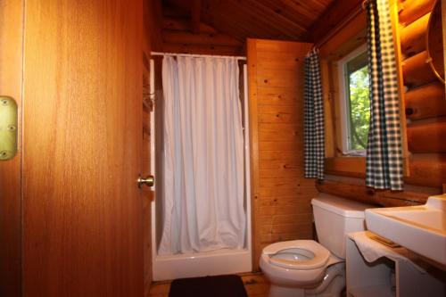 West SalemNeshonoc Lakeside Camping Resort的小屋内的浴室设有卫生间和淋浴。